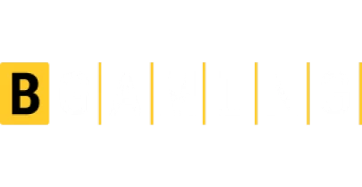 partners who work with MahadevBook